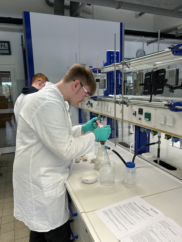 2024 08 26 Praktikum Evonik2