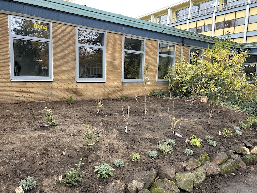 2025 11 18 Gartentag3