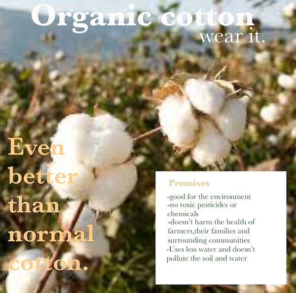 2024 02 09 Organic cotton poster by Lucy