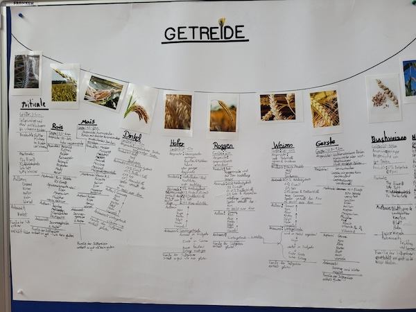 2024 07 01 Bauernhofprojekt10