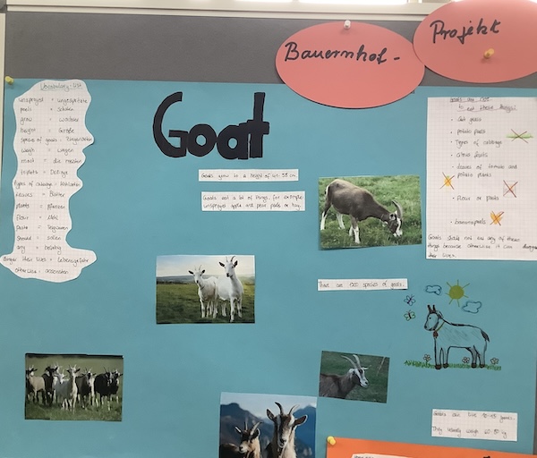 2024 07 01 Bauernhofprojekt4