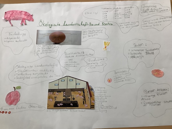 2024 07 01 Bauernhofprojekt5