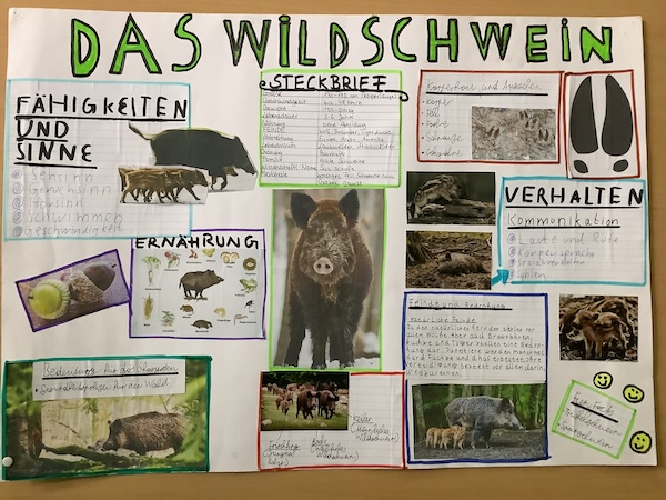 2024 07 01 Bauernhofprojekt6