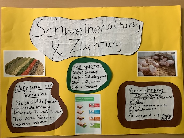2024 07 01 Bauernhofprojekt7