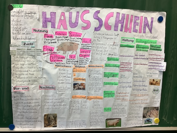 2024 07 01 Bauernhofprojekt9